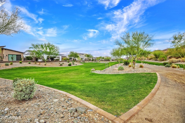 826 E Buist Ave, Phoenix, AZ 85042 - view of grassy yard