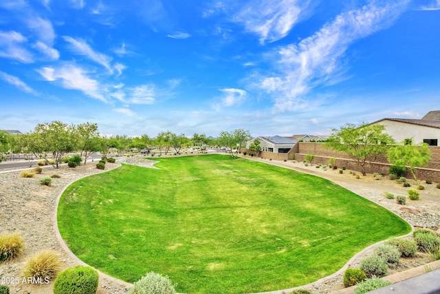 826 E Buist Ave, Phoenix, AZ 85042 - view of green lawn