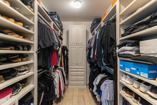 3511 N 39th Pl, Phoenix, AZ 85018 - walk in closet with light wood-type flooring