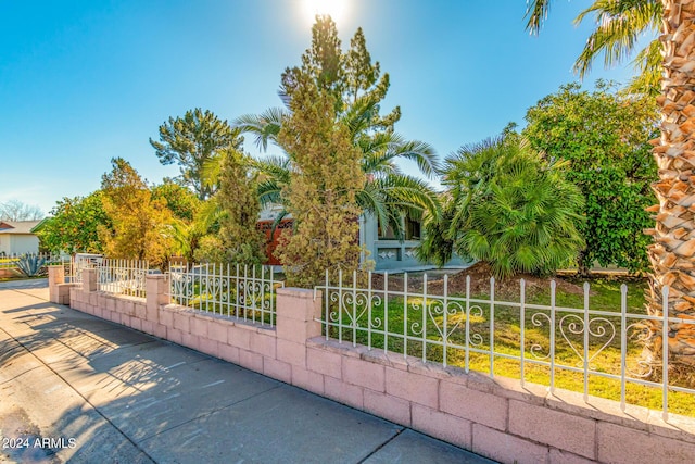 view of gate featuring a fenced front yard