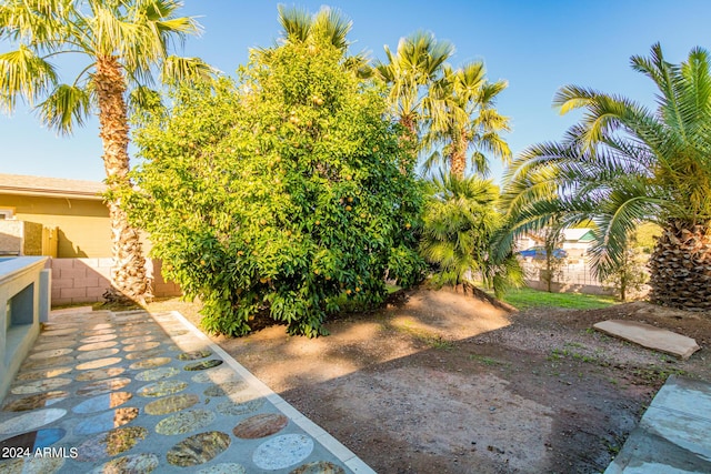 view of yard featuring fence