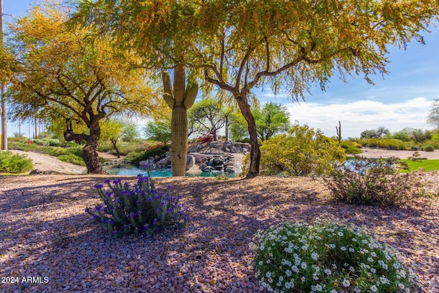 view of yard featuring a water view