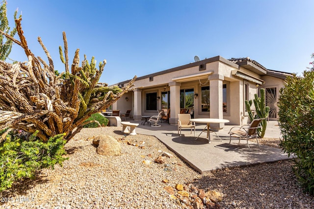 back of property featuring a patio area and stucco siding