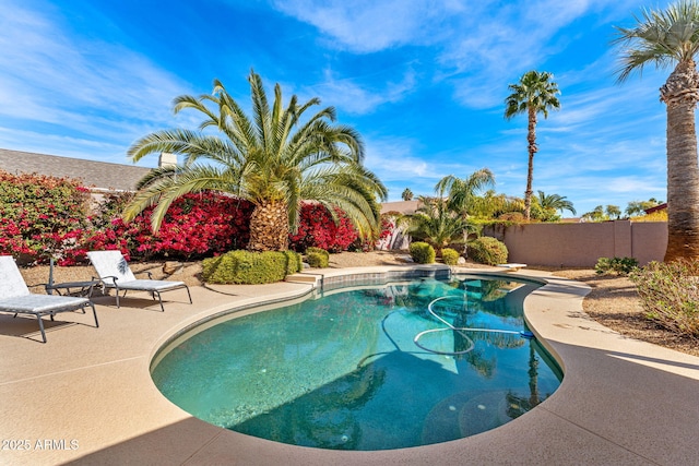 view of pool featuring a fenced in pool, a patio area, and fence