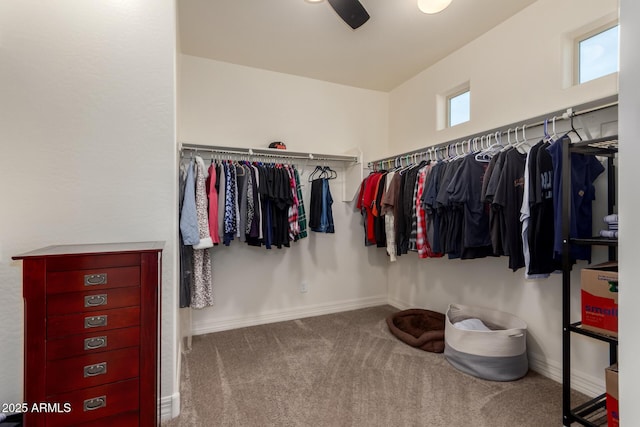 walk in closet with carpet and ceiling fan