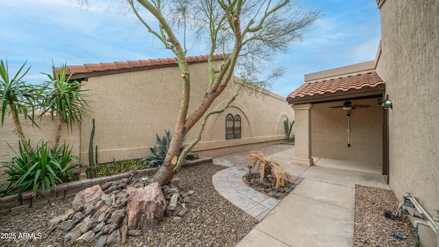 view of yard featuring a patio area