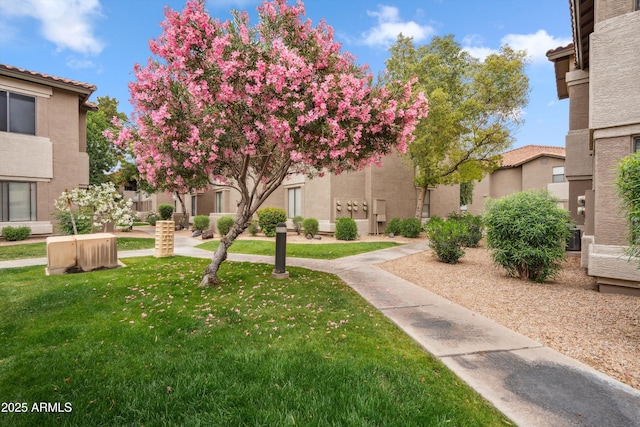view of home's community featuring a yard and a residential view