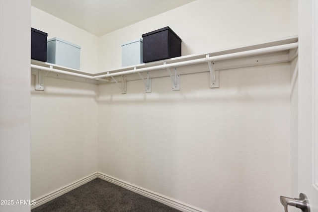 2726 E Fairmount Ave, Phoenix, AZ 85016 - spacious closet with carpet