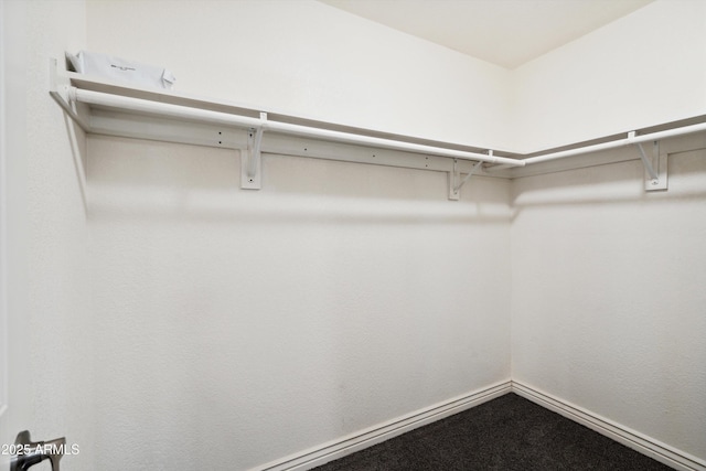 2726 E Fairmount Ave, Phoenix, AZ 85016 - view of spacious closet