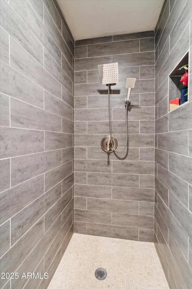 2726 E Fairmount Ave, Phoenix, AZ 85016 - full bath featuring a tile shower