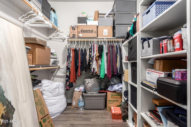 walk in closet featuring wood finished floors