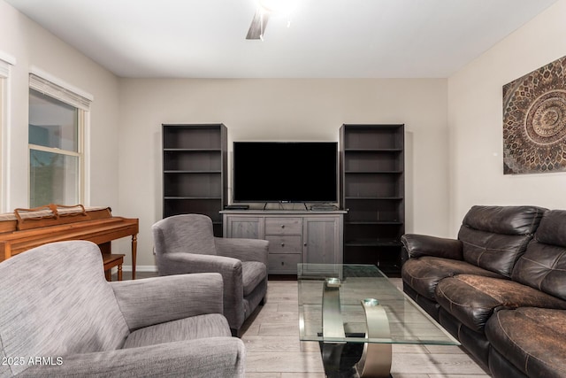 living area with light wood finished floors