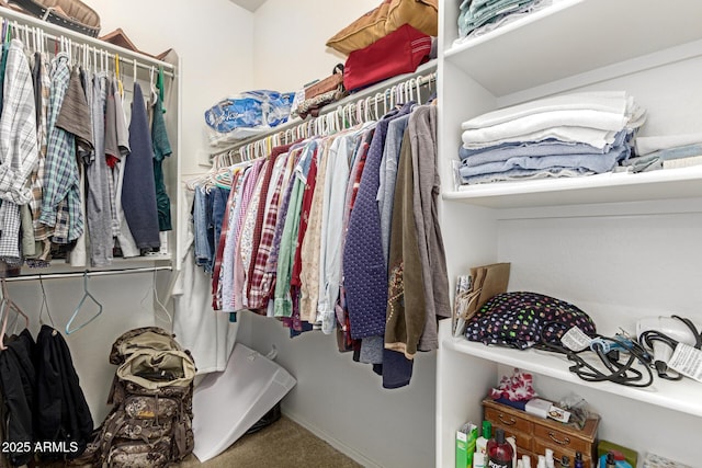 spacious closet with carpet