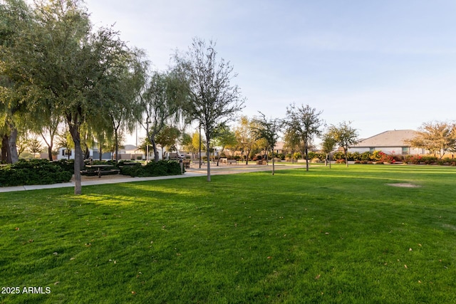 view of home's community featuring a yard