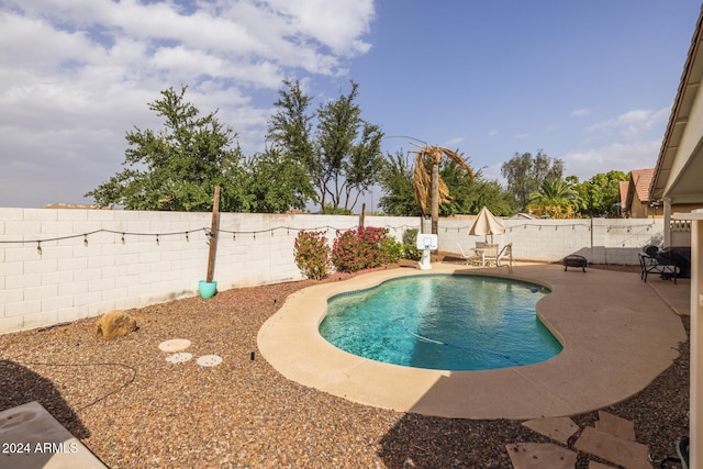 view of pool with a patio area