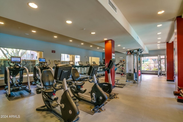 exercise room with a wealth of natural light