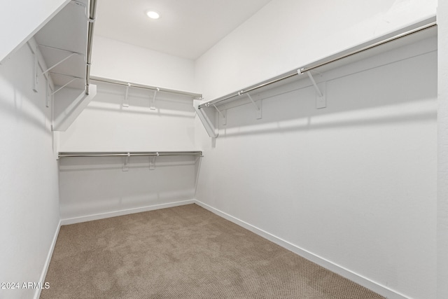 spacious closet with carpet