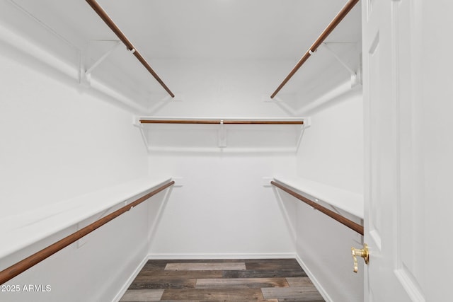 8844 S 51st St Unit 3, Phoenix, AZ 85044 - walk in closet featuring dark wood-style floors