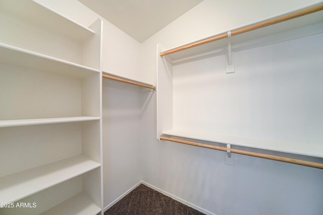 walk in closet featuring dark colored carpet