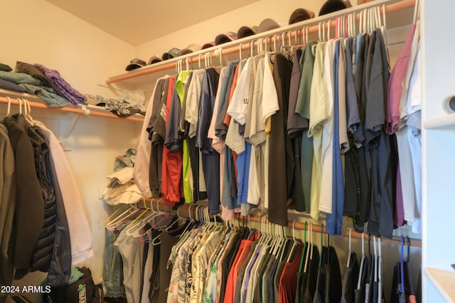 view of walk in closet