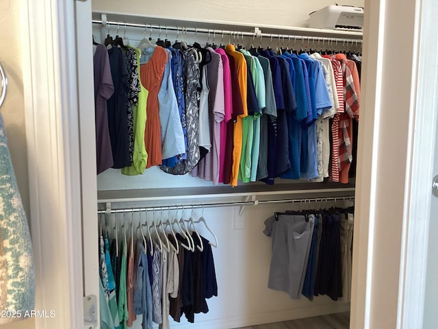 view of closet