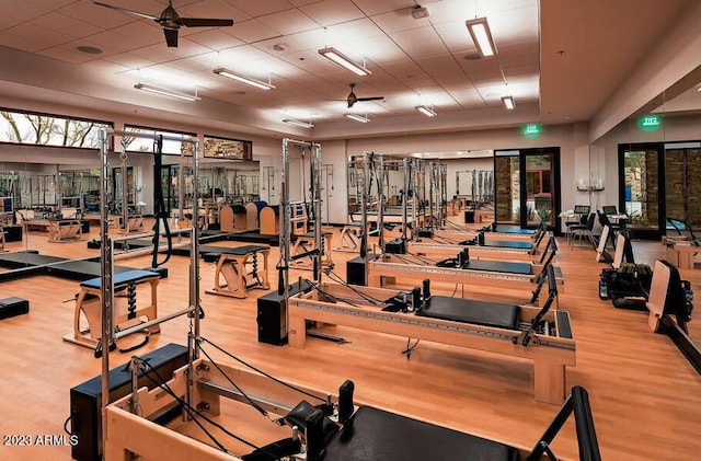 gym featuring hardwood / wood-style flooring and ceiling fan