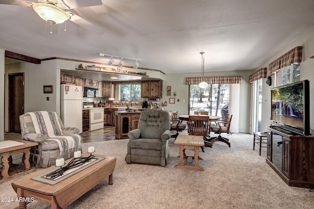 carpeted living room with a wealth of natural light, ceiling fan, and rail lighting