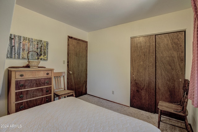 carpeted bedroom with a closet