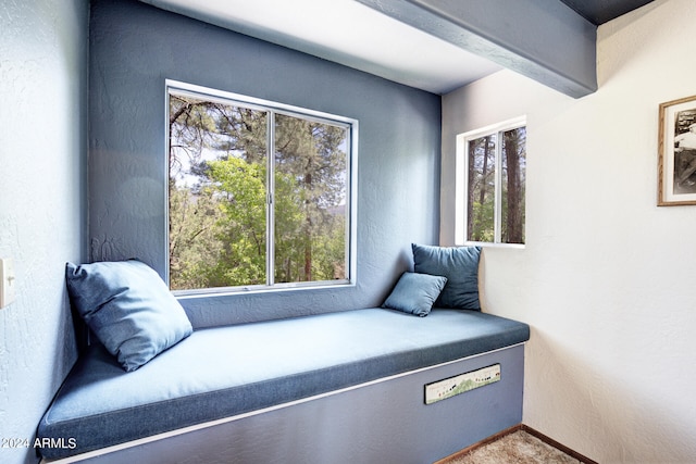 sitting room with plenty of natural light