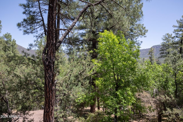 view of nature with a mountain view