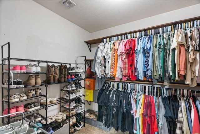 spacious closet with carpet