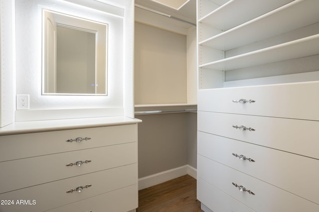 spacious closet with hardwood / wood-style flooring