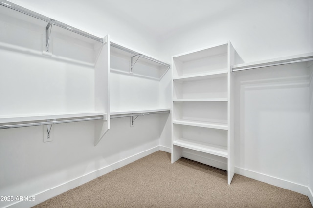 walk in closet with light carpet