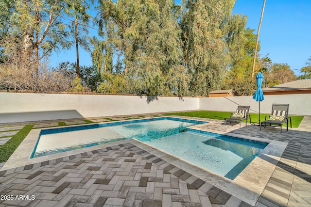 view of swimming pool with a patio