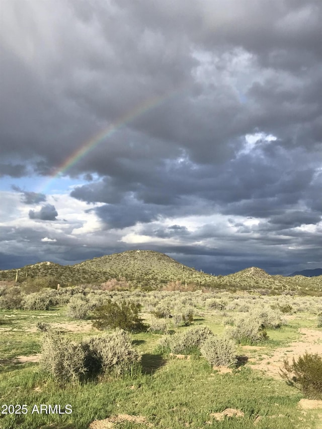 39281 Ave 61 Unit 1/2, Salome, AZ 85348 - mountain view