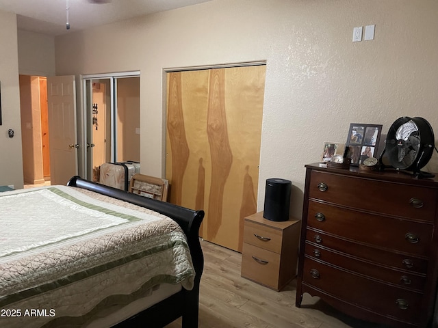 39281 Ave 61 Unit 1/2, Salome, AZ 85348 - bedroom featuring light wood-style floors and two closets