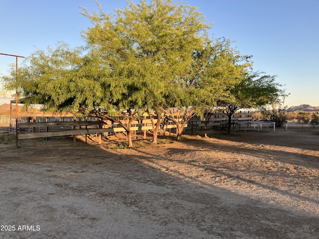 39281 Ave 61 Unit 1/2, Salome, AZ 85348 - view of yard