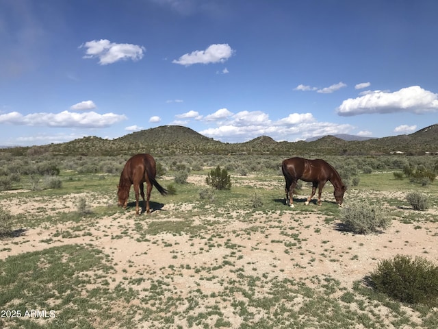 39281 Ave 61 Unit 1/2, Salome, AZ 85348 - view of mountain backdrop featuring rural landscape