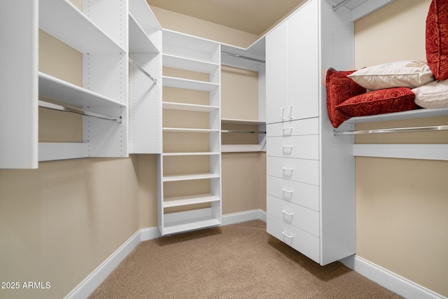 spacious closet featuring carpet