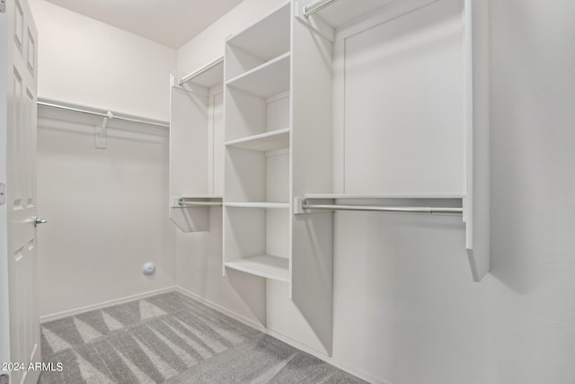 spacious closet featuring carpet floors