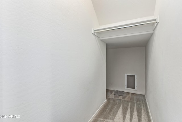 laundry area featuring carpet flooring