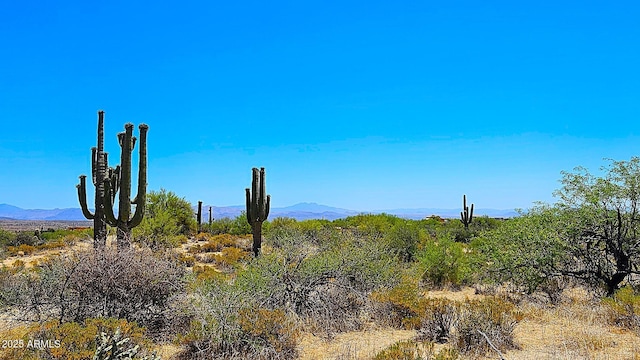 354XX N 136th St -, Unit Scottsdale, AZ 85262