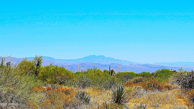 354XX N 136th St -, Unit Scottsdale, AZ 85262