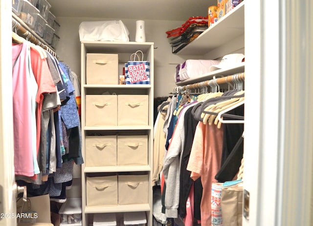view of spacious closet