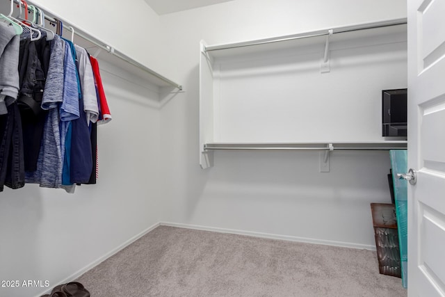 spacious closet featuring light carpet