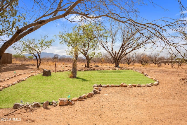 view of yard featuring a mountain view
