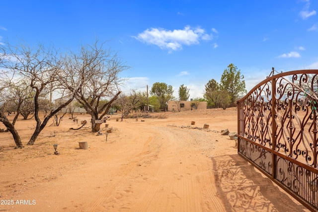 view of yard featuring a gate