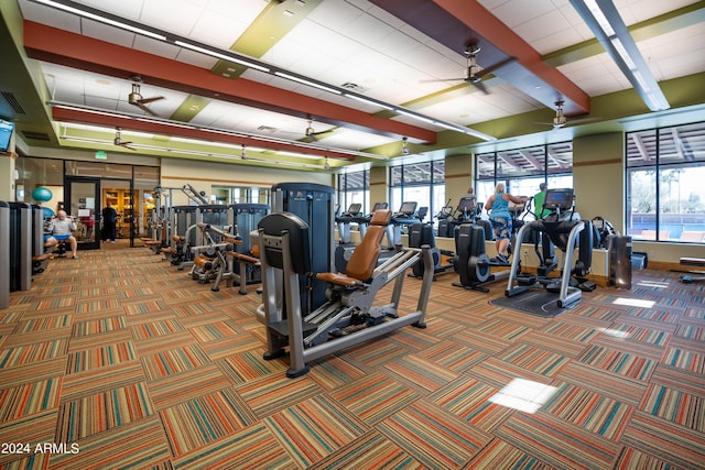 gym featuring ceiling fan and carpet floors