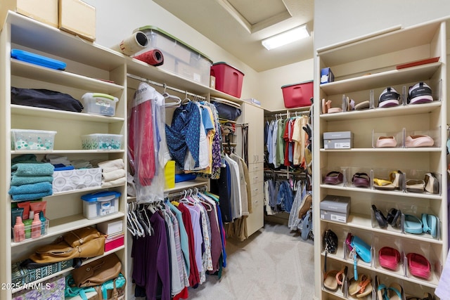 spacious closet featuring attic access and carpet floors