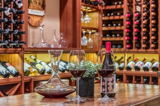 view of wine cellar